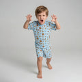 Pijama Masculino Infantil Curto - Estampa Animais - 027011